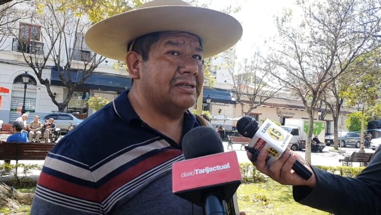Verduras y hortalizas podrían subir tras granizadas en Tarija