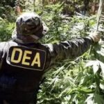 El presidente electo Rodrigo Paz sorprendió al país con un anuncio que la DEA regresará a Bolivia