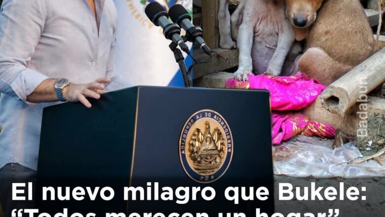 !Bukele lo volvió a hacer! Ahora no está persiguiendo criminales… está rescatando vidas