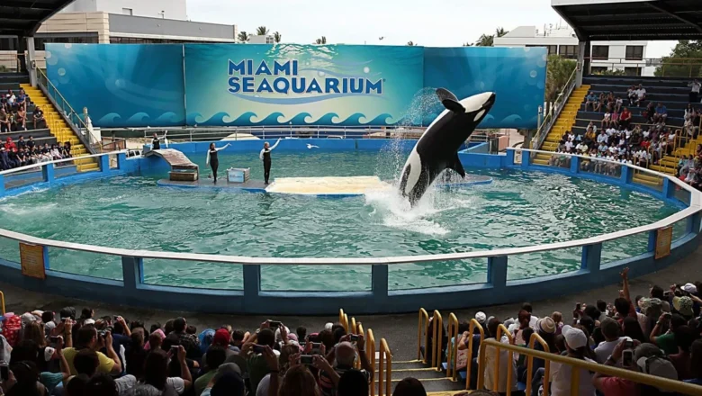 Ecologistas celebran el cierre del Seaquarium de Miami tras décadas de protestas