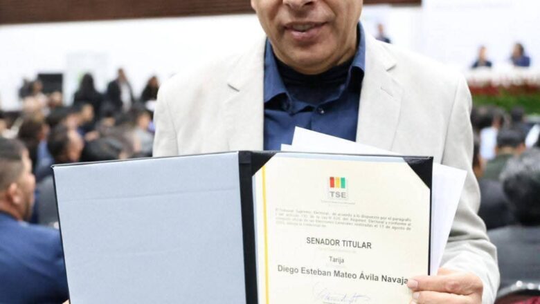 Quién es Diego Ávila, el nuevo presidente del Senado de Bolivia