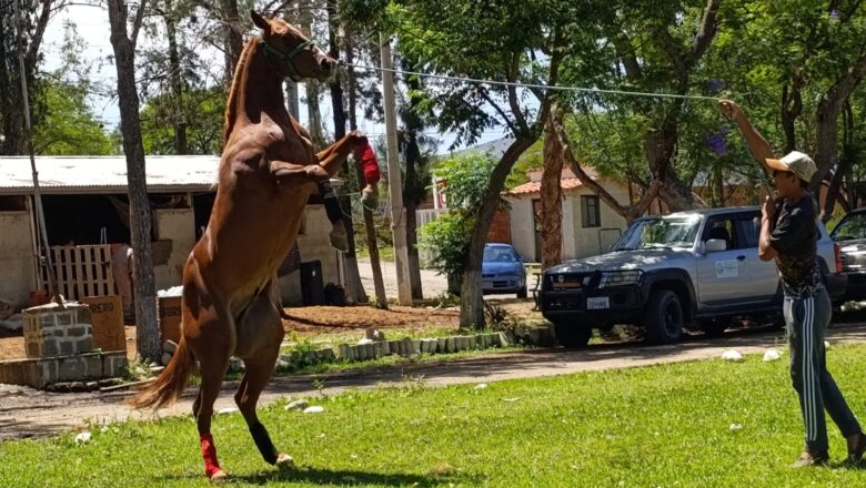 Gobernación de Tarija apoya nuevo encuentro de carreras cuadreras este sábado en La Tablada