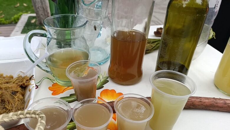 Feria de la Quirusilla en el Rincón de la Victoria: tradición, sabor y cultura