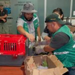 Decomisan aves silvestres enviadas ilegalmente desde Tarija a Santa Cruz