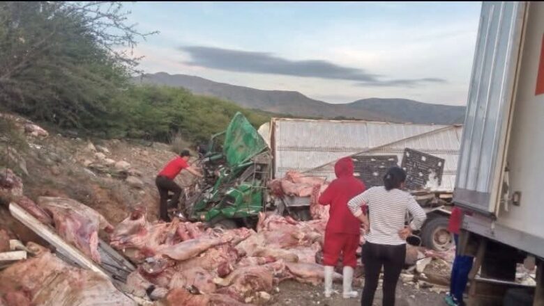F4tal accid3nte en Santa Ana, camión con carne volcó en la ruta a Tarija y deja una persona sin vida
