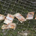 Envían a la cárcel a 19 personas por el robo de billetes del avión siniestrado