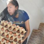 En Cochabamba: Avicolas rematan huevo frescos por cierre de rutas y bloqueos
