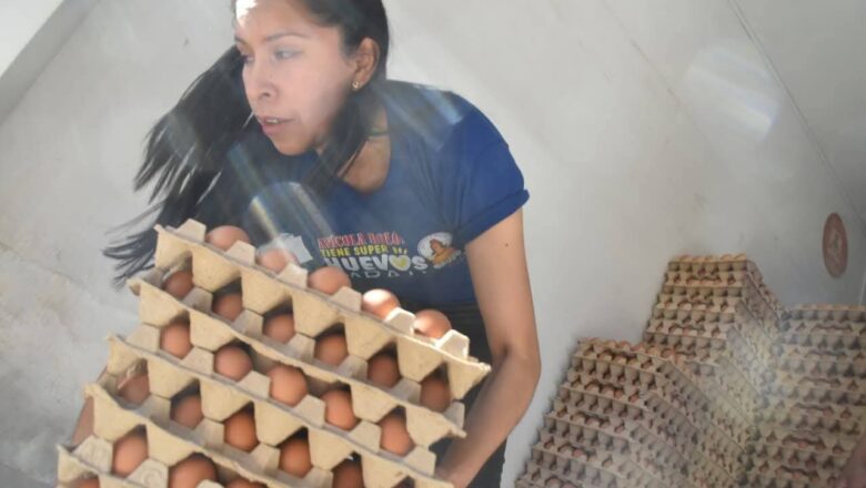 En Cochabamba: Avicolas rematan huevo frescos por cierre de rutas y bloqueos