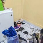 Allanamiento en Tarija: F.E.L.C.N. incauta m4rihu4na y rescata animales