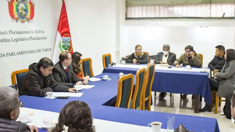 Brigada Parlamentaria y Gobernación de Tarija consolidan agenda conjunta en salud, pacto fiscal y reactivación económica