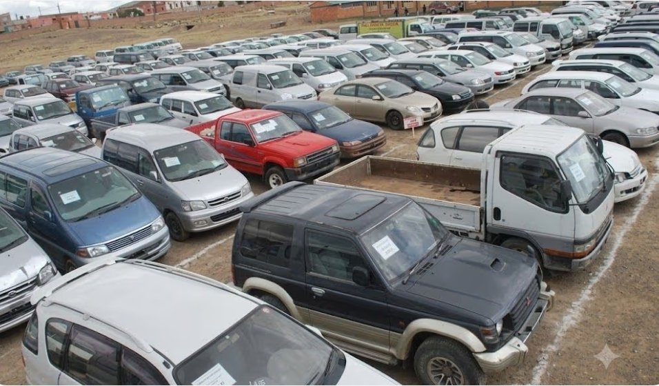 Proyecto para legalizar autos «chutos» será retirado
