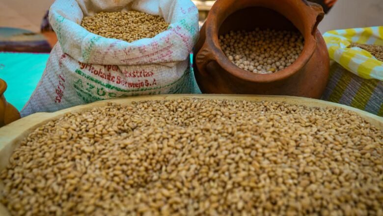Junacas Sud se prepara para la XXII Feria del Trigo