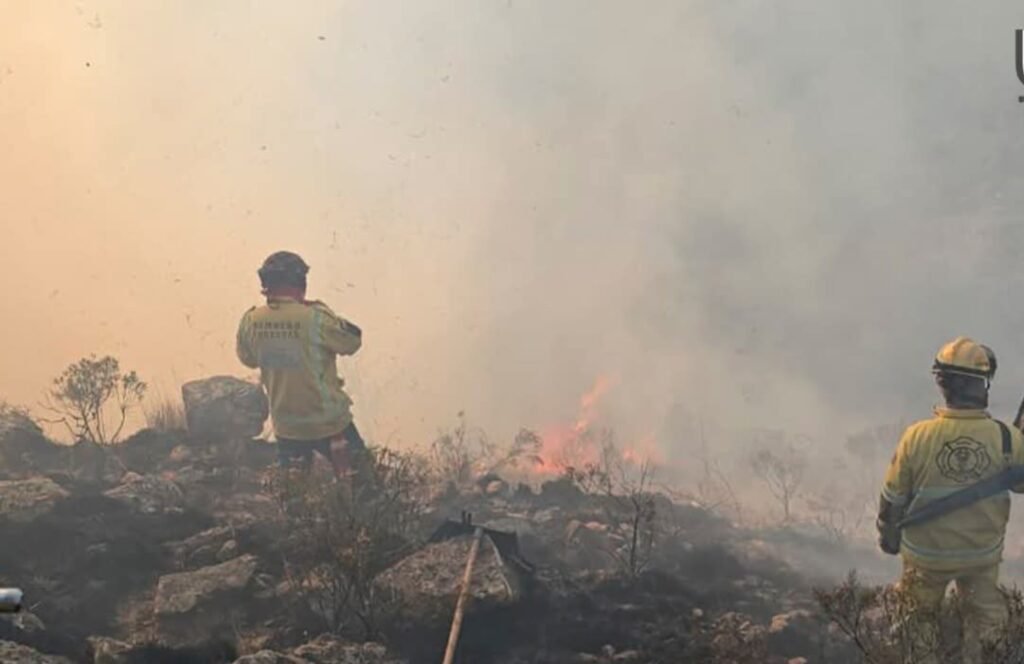 Reactivación de incendio forestal en Churquis