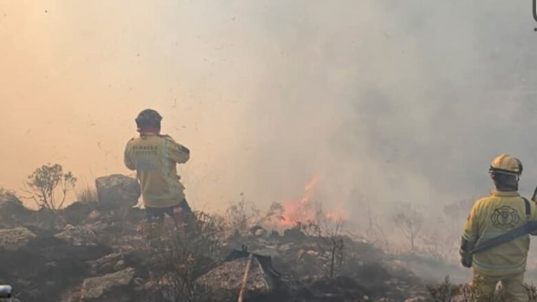 Reactivación de incendio forestal en Churquis