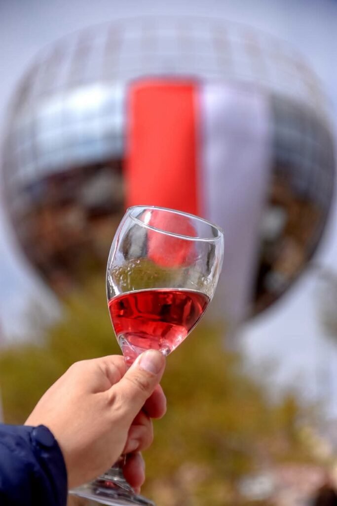 Primer Festival “Un Brindis por Tarija”