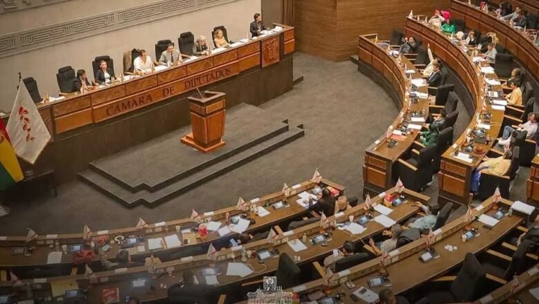 Diputados aprueban crédito de $us 500 millones