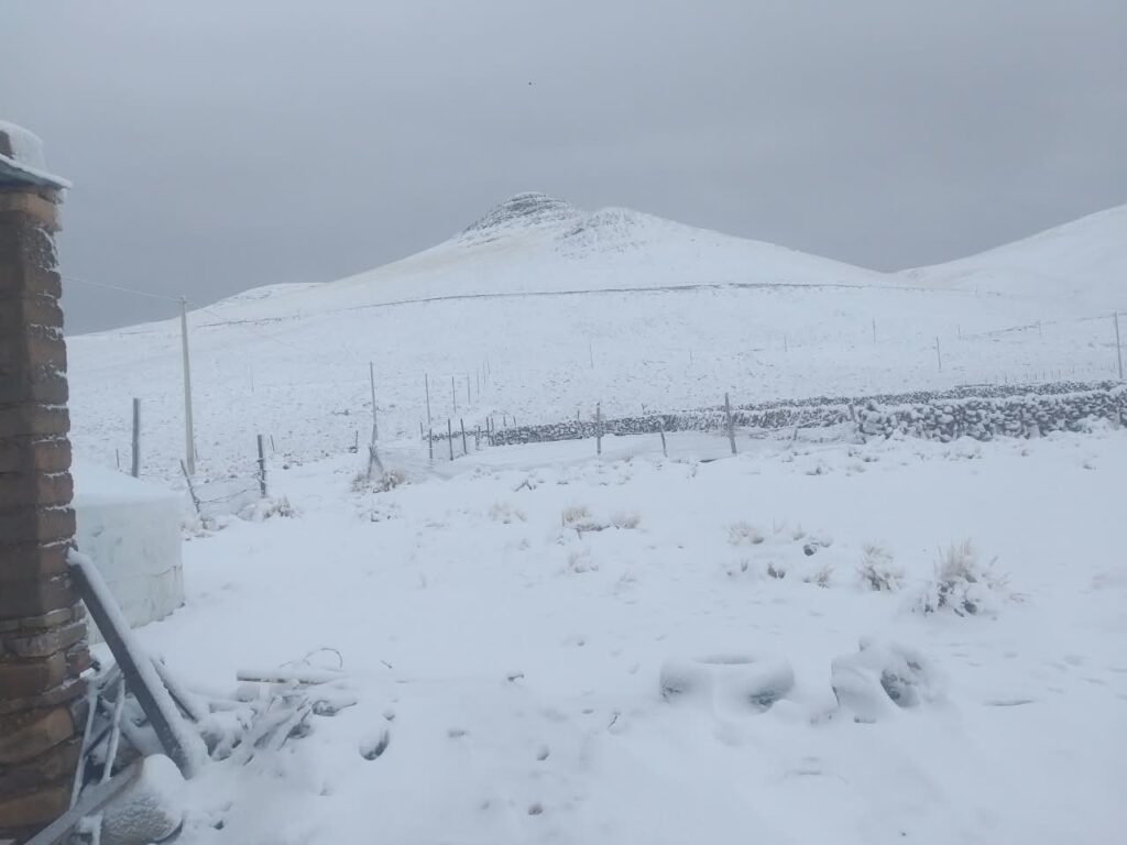 Tarija bajo alerta de nevada