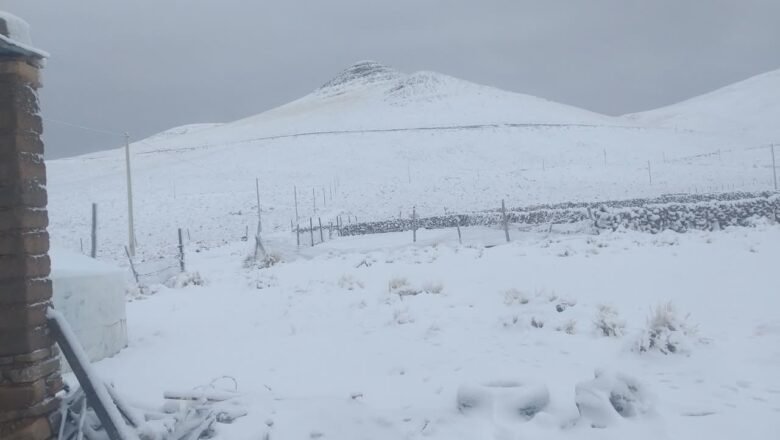 Tarija bajo alerta de nevada