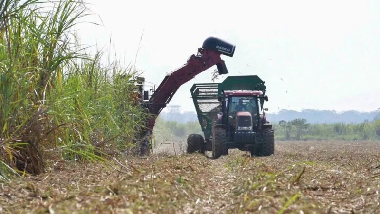 Cañeros rechazan diésel a Bs 18, exigen dejar sin efecto DS 5676: “Nuestros productos también deben ser reconocidos a precios reales”