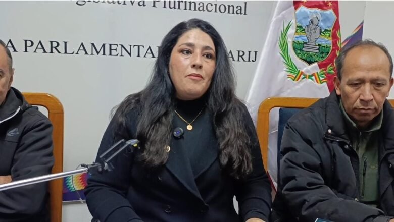 Diputada Pacello presenta proyecto de ley para fortalecer la apicultura y meliponicultura