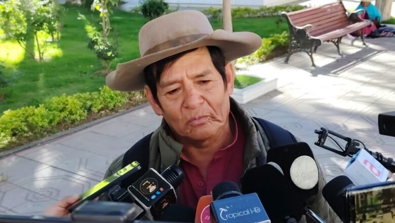 Productores campesinos volverán a los bueyes por falta de diésel