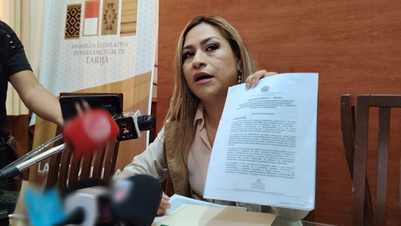 Diputada Marina Cachambi denuncia violencia y acoso político por parte de Mentasti y Guerrero