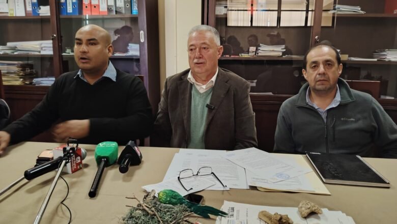 Víbora Negra: tuberías de COSAALT, principal foco de contaminación