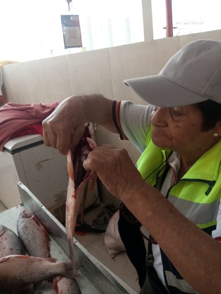 Control de inocuidad y orden en el Mercado El Dorado